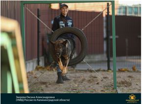 1 ДЕНЬ ПОЛИЦИИ РОССИИ